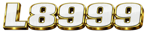 bdl8999.com Logo